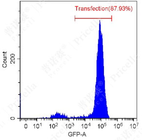 1732867247489001.png image.png