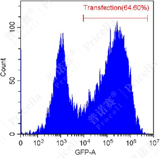 1732868409288314.png image.png