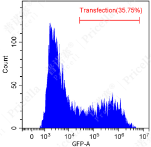 1735177557182282.png image.png