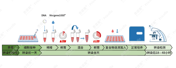 1735178588908494.png image.png