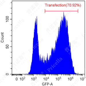 1735178952149323.png image.png