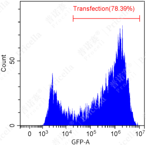 1735180169675333.png image.png