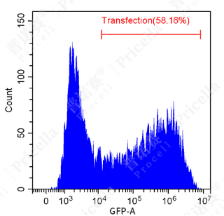 1737698484178522.png image.png